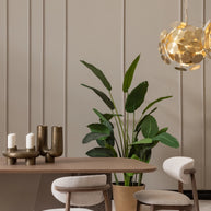 Noho Dining Chair