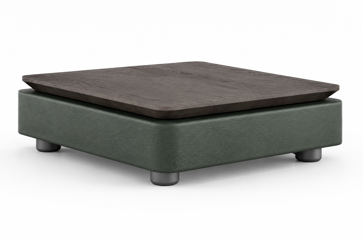 Loretta Sofa Middle Table